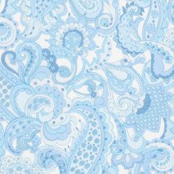 MR PAISLEY 2 SS 2026