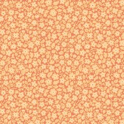 Carnaby Meadow 2 Nov. 2026