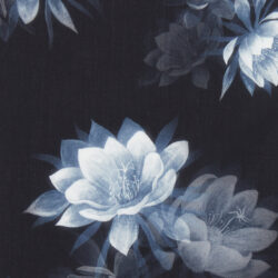 AURA 1 AW 2026