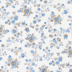 WHIMSY 1 AW 2026