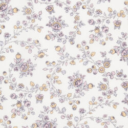 WHIMSY 3 AW 2026