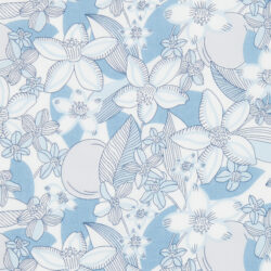 CITRUS SUN 3 AW 2026