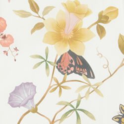 DOREEN JUNE 2 AW 2026