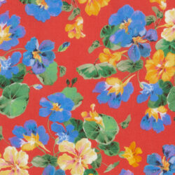 PAINTED NASTURTIUM 2 AW 2026