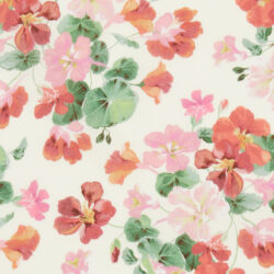 PAINTED NASTURTIUM 3 AW 2026