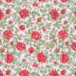 COTTAGE ROSE 2 June 2027