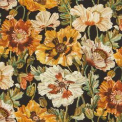 POPPY AMELIE 26 Classics 1