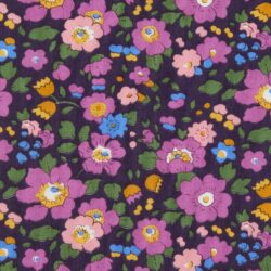 BETSY MEADOW 26 Classics 1