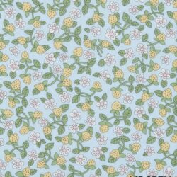 STRAWBERRIES AND CREAM 26 Classics 1