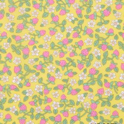 STRAWBERRIES AND CREAM 26 Classics 2