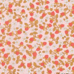 STRAWBERRIES AND CREAM 26 Classics 3