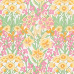MOUNTAIN PRIMROSE 26 Classics 3