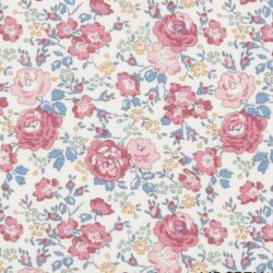 FELICITE 26 Classics 1